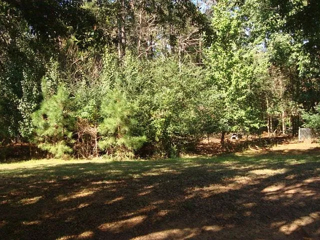610 Clearwater Pl — Photo 11