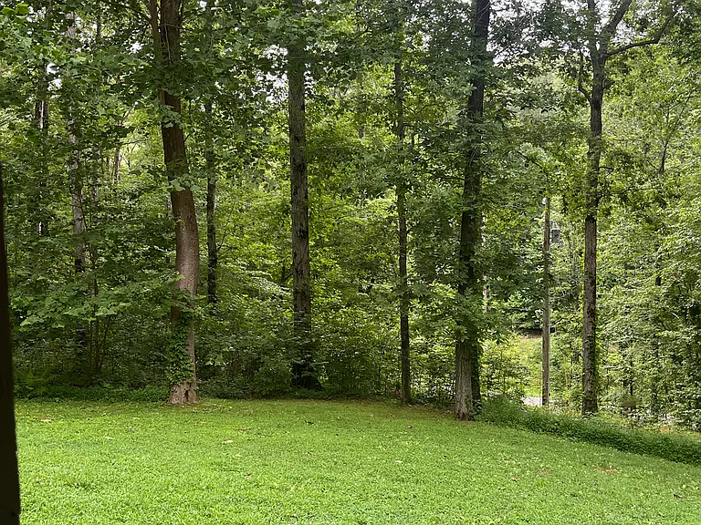 7872 Oscar Green Rd — Photo 3