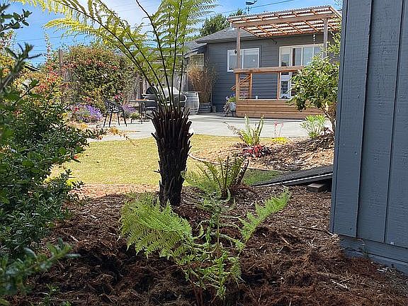 view of main house from fern