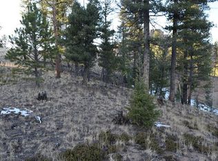 373 Overlook Cir, Woodland Park, CO 80863