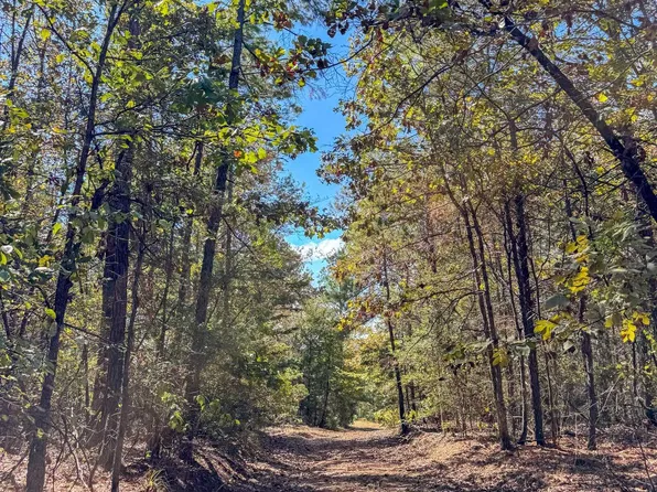 County Road 1584, Avinger, TX 75630