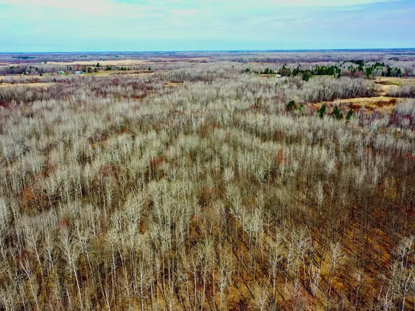 Beaver Claw Rd, Brook Park, MN 55007