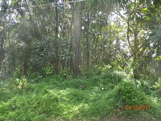 1st image of Oio St Lot 1483