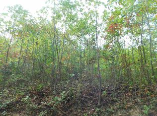 LOT 6 Halls Cemetery Rd, Newport, TN 37821