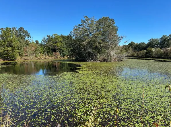 0 State Highway 82, Sumner, GA 31789