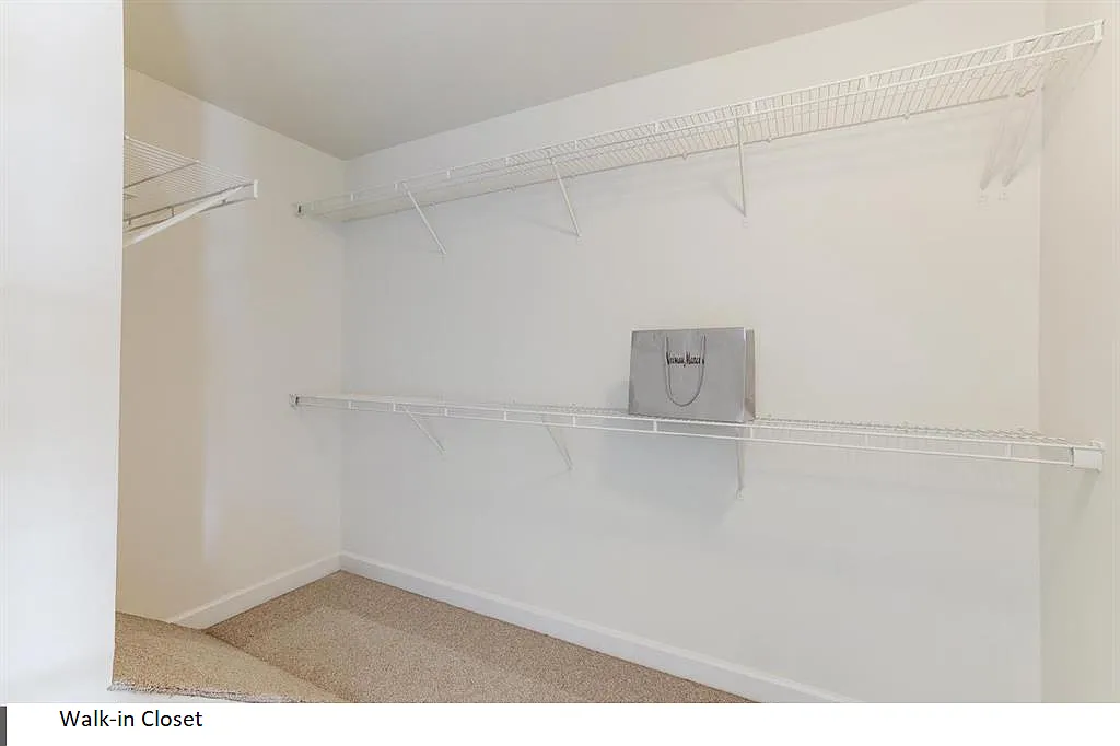 3 bed, 1620 sqft, $2,900 — Photo 4