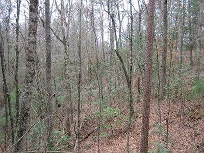 445 Apache Ct, Ellijay, GA, 30540