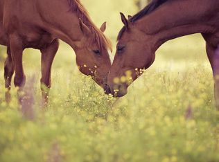 12 Wintergreen Way, Ocala, FL 34482