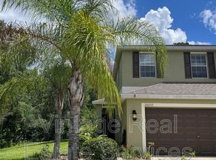 20233 Indian Rosewood Dr, Tampa, FL 33647