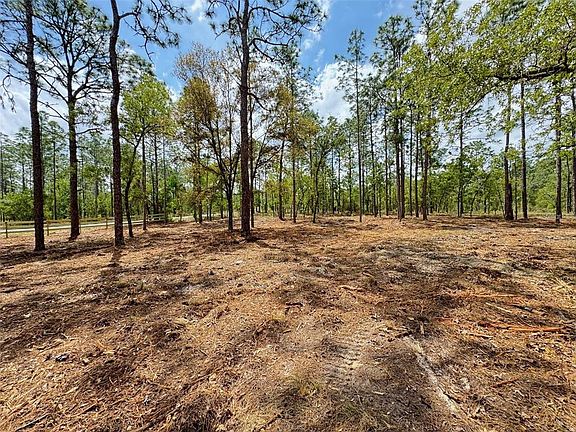 5th image of SW Deerpark Heights Rd #13