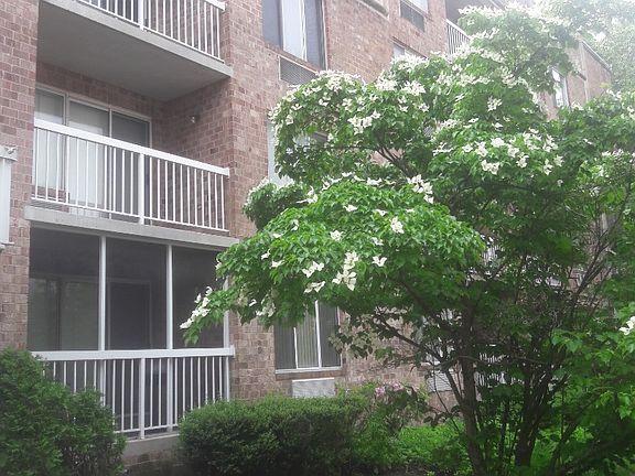 2nd image of 195 Wellington Ct Floor 3-3I-3I