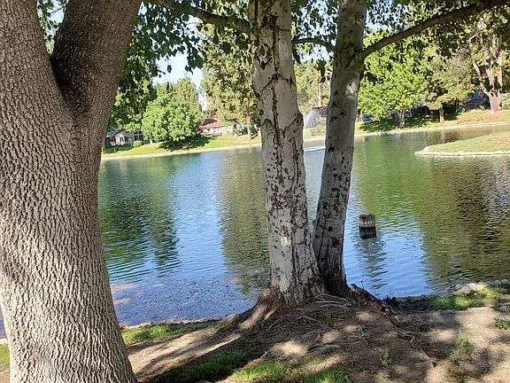 This is the lake in the community