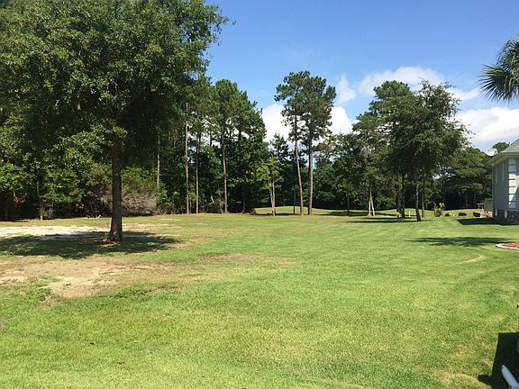 4th image of 407 Sawgrass Cv