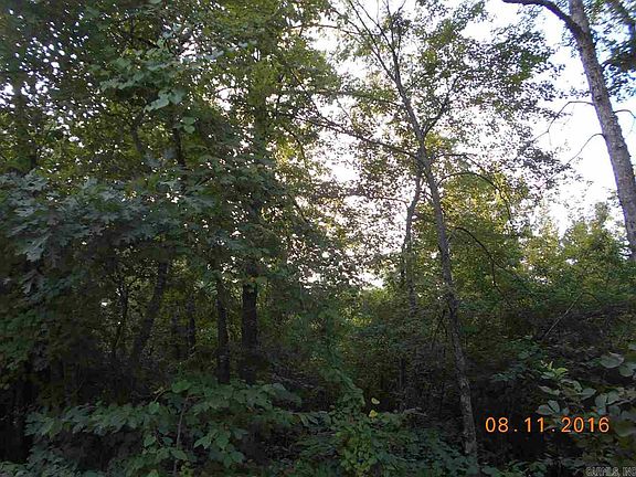 2nd image of 676 Unk Polk