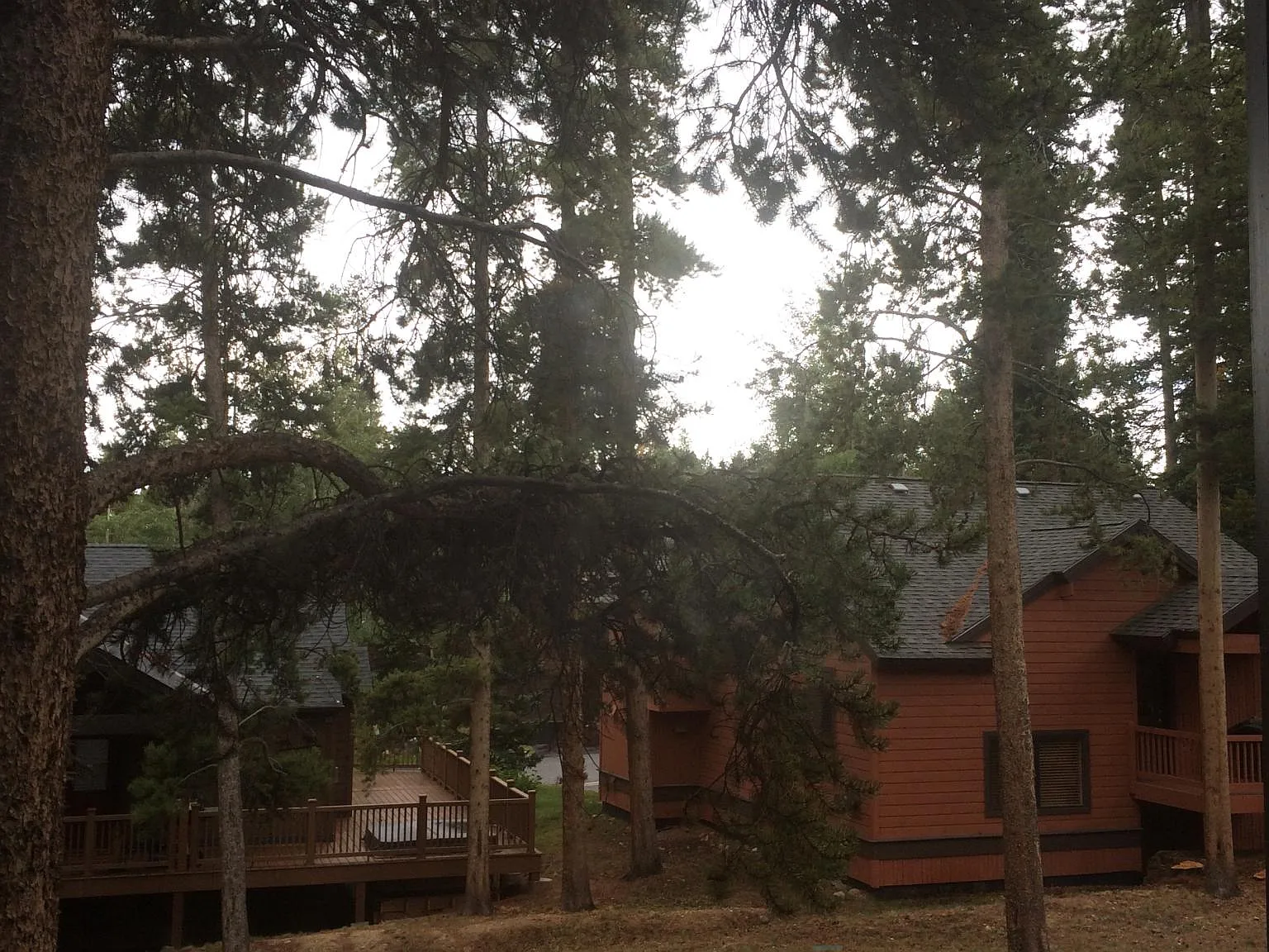 1127 Ski Hill Rd — Photo 4