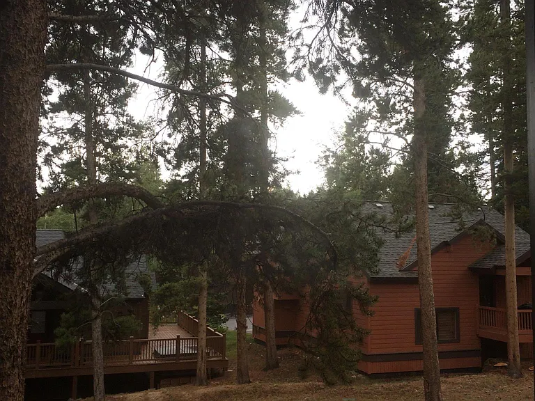 1127 Ski Hill Rd #F-96 — Photo 3