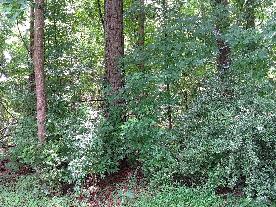 2nd image of 0 Cherie Ct S
