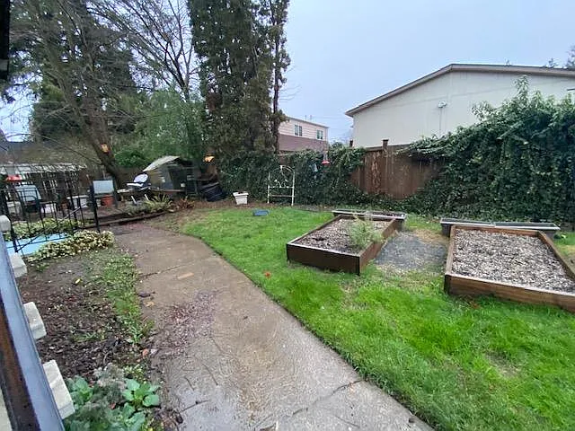 Back yard view