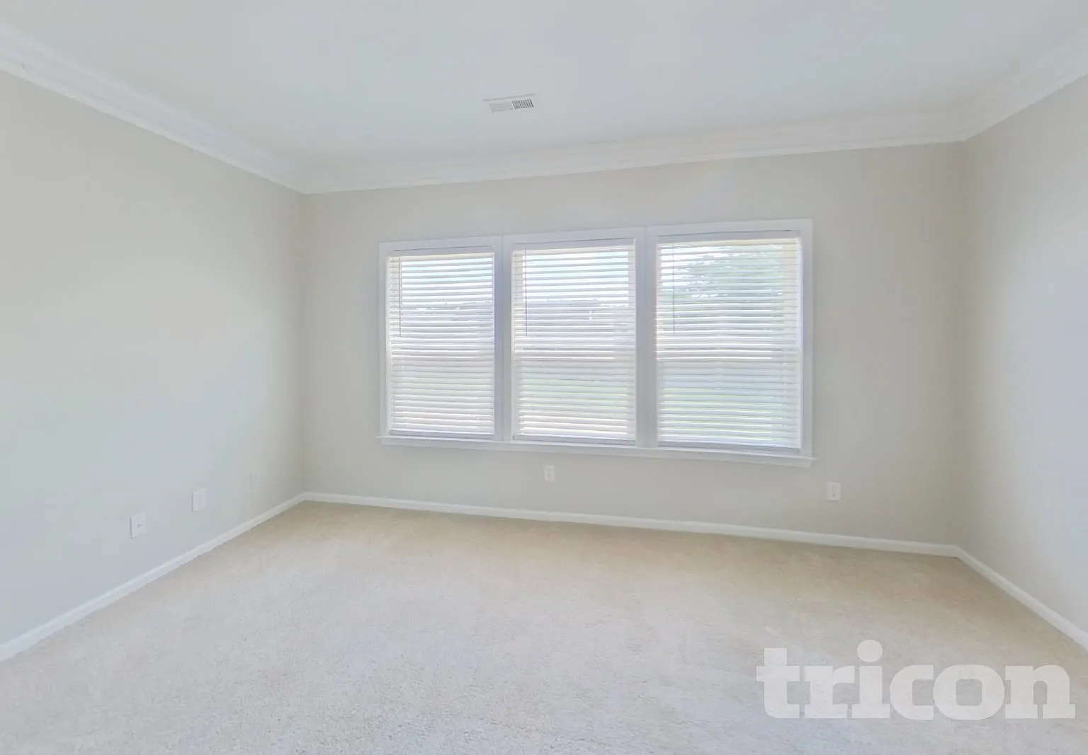 527 West Saddletree Drive Woodruff SC — Photo 2