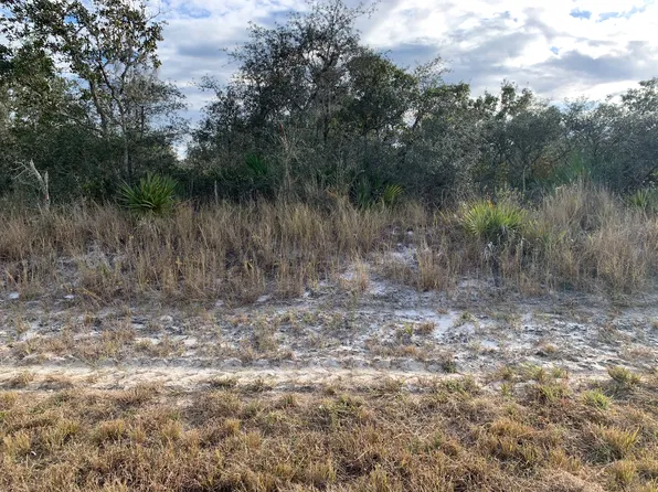 2937 W Gordon Rd, Avon Park, FL 33825