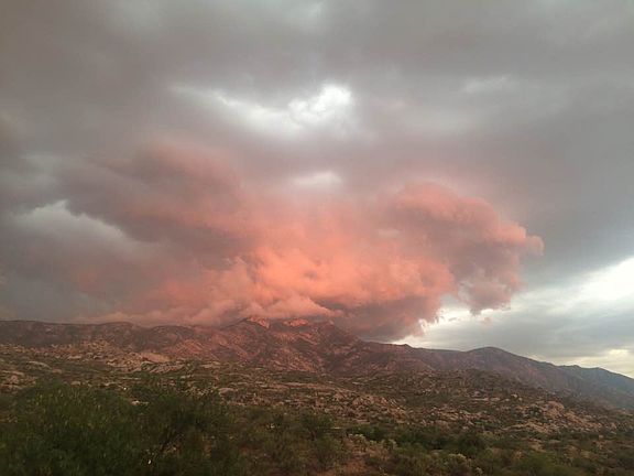 from rear balcony -east