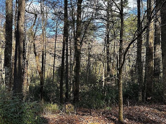4th image of Lot 7 Gorge Trail