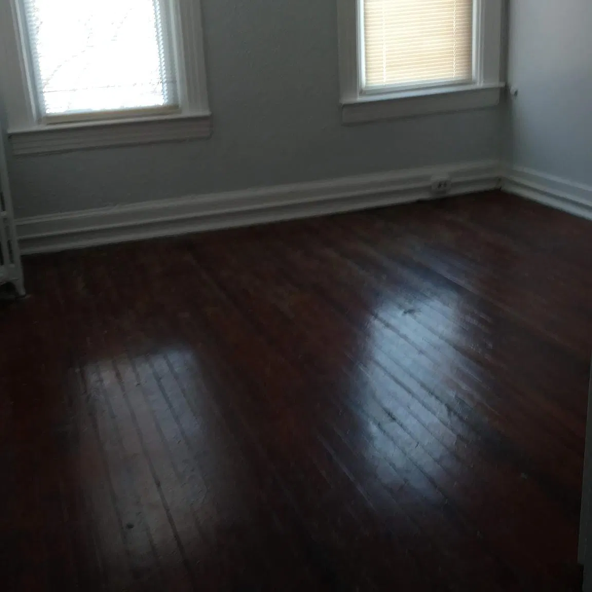 1 bed, $600 — Photo 2