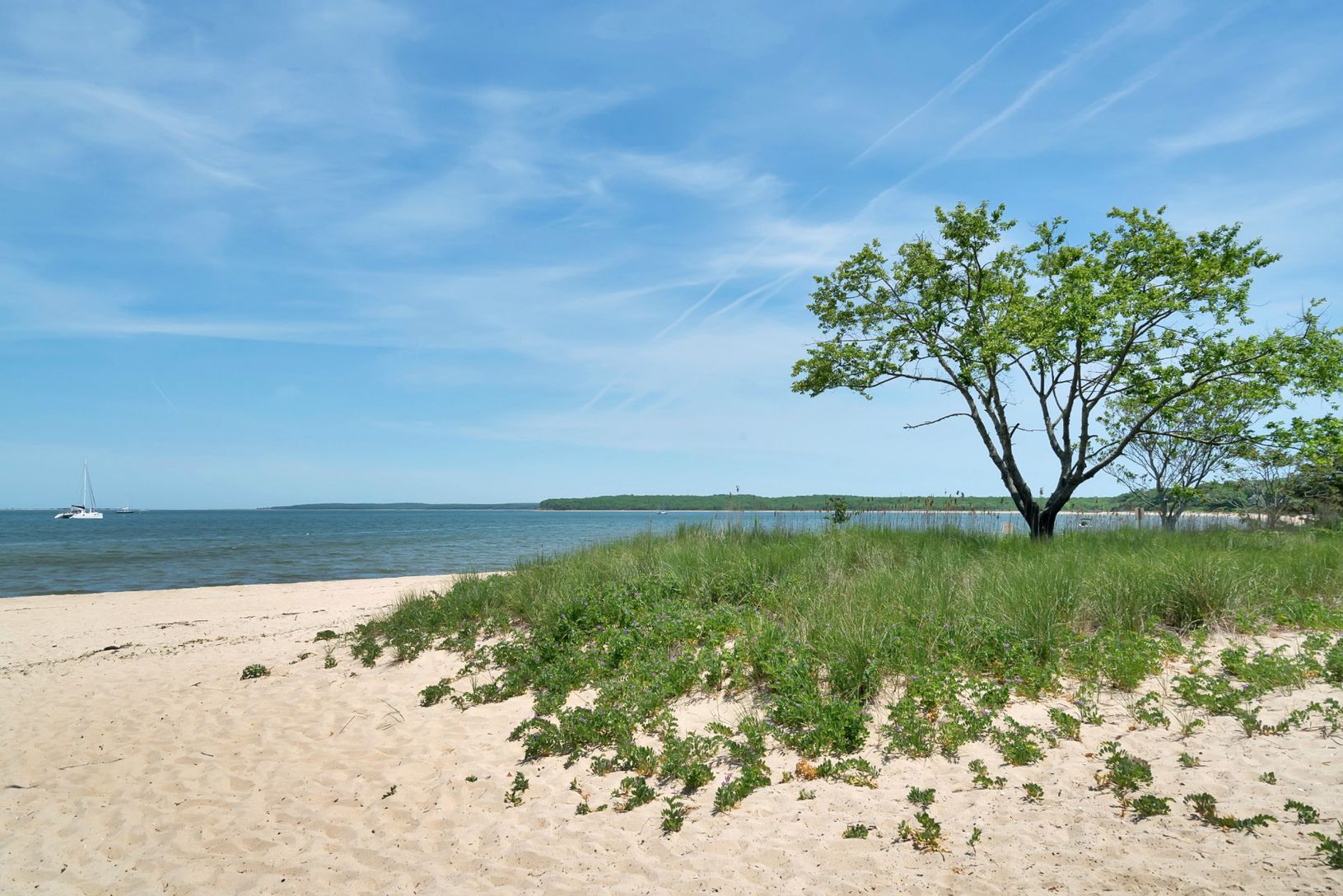  Havens Beach is a quick 5 minute stroll through the backyard and park.