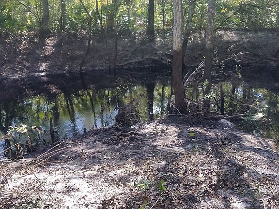 Beach and swimming area