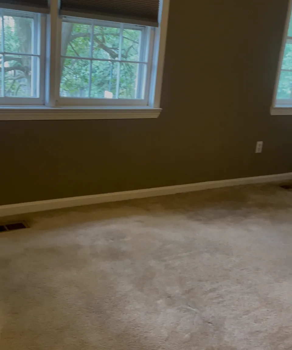 3 bed, 1360 sqft, $3,000 — Photo 4