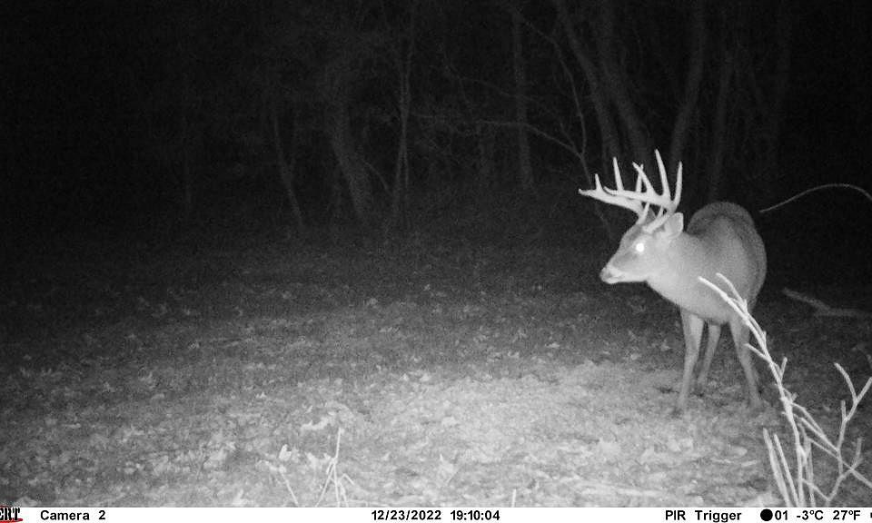 1st image of 332 Old Hwy #84