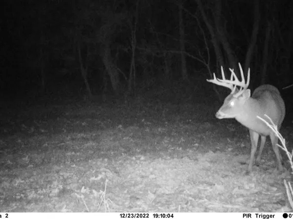 332 Old Hwy #84, Natchez, MS 39120