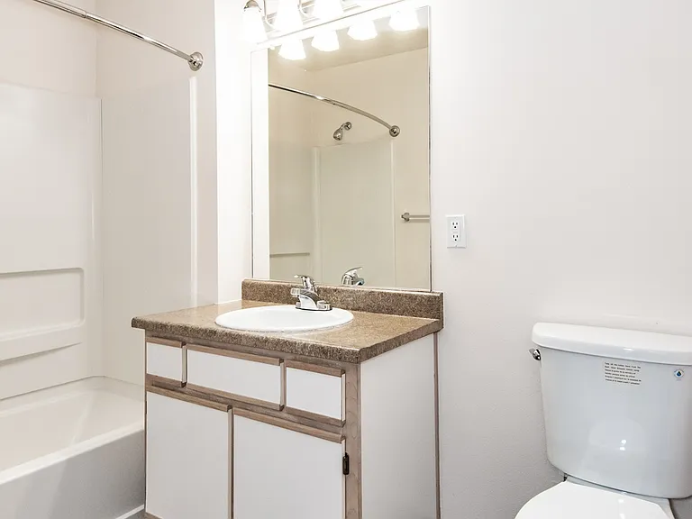 Bathroom Vanity and Bathtub