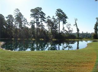 62 N Lamerie Way, The Woodlands, TX 77382