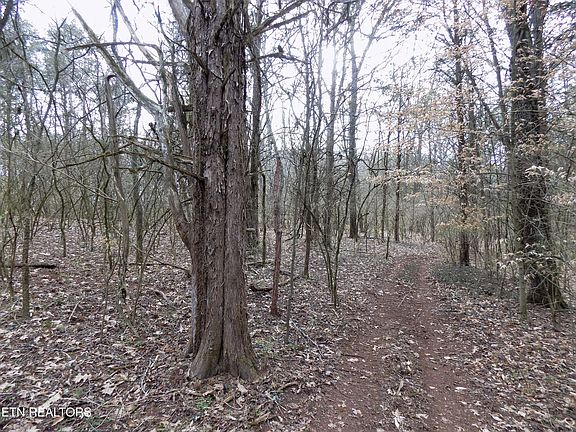 4th image of 13-22 W View Dr #55-W