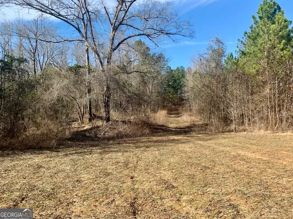 78T Bray Rd, Wrightsville, GA 31096