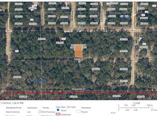 0 Topper St #23, Interlachen, FL 32148