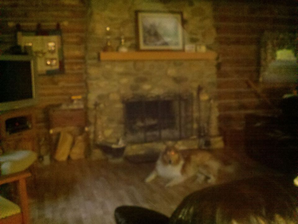 2nd image of 14429 Ireland Rd
