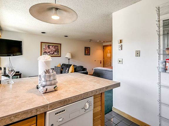 4th image of 535 S Park Ave #4608