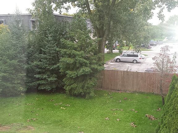 Privacy Fence