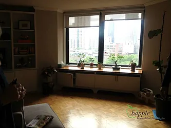 Rented by Bapple