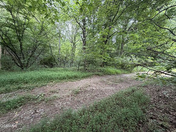 4th image of 1 Forge Hideaway Rd #5