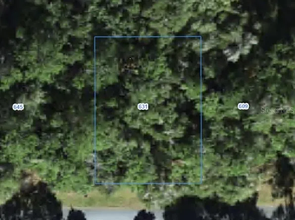 631 W GRAPEWOOD LANE LOT 16, CITRUS SPRINGS, FL 34434