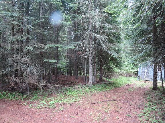2nd image of 58466 Wildwood Loop