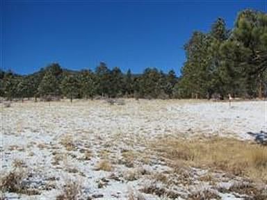 3rd image of 3049 Royale Elk Way