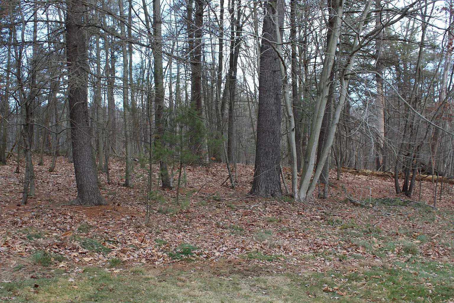 20 Longhorn Rd photo 1