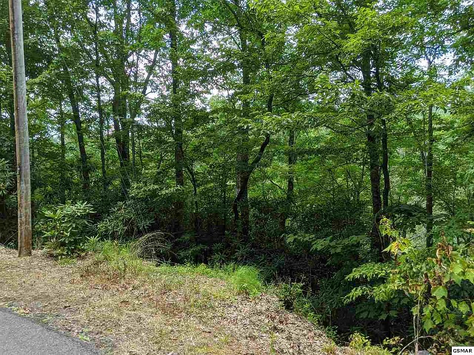 1st image of Black Gum Gap Rd #15