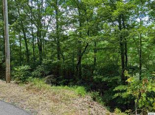 Black Gum Gap Rd #15, Gatlinburg, TN 37738