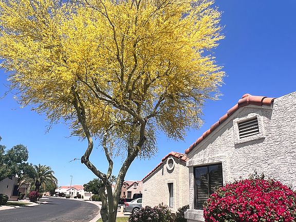 Welcome home! Full bloom - 15081 N 86th