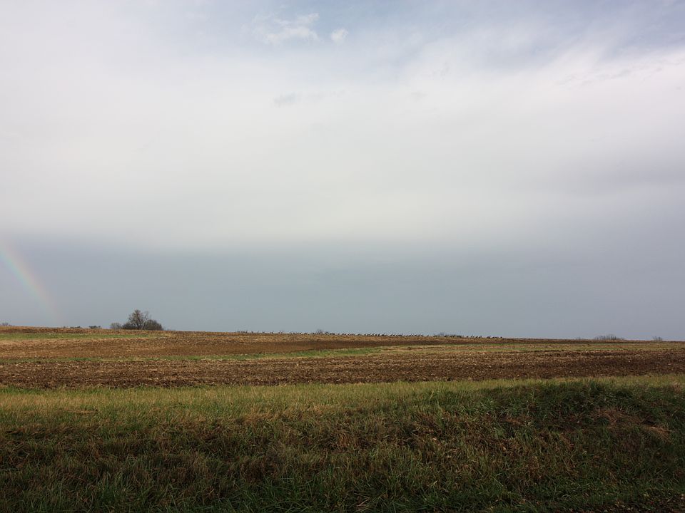 1st image of 95 St 95 And Rowen